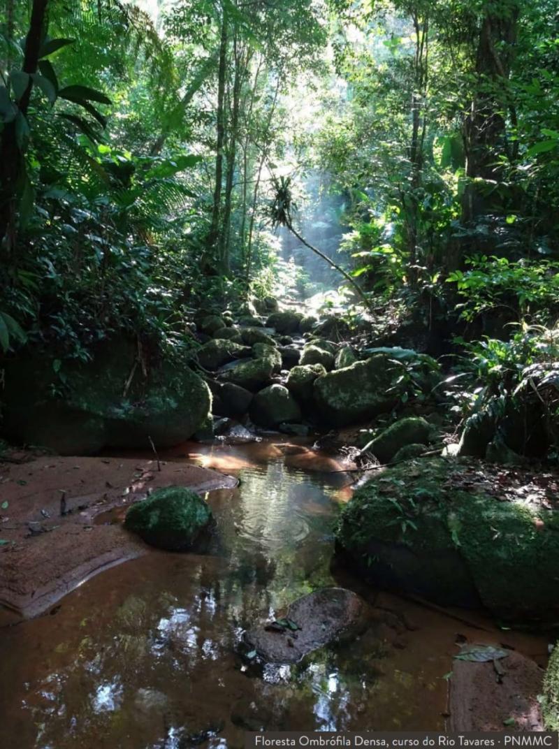 Prefeitura lança curso focado nos ecossistemas da capital