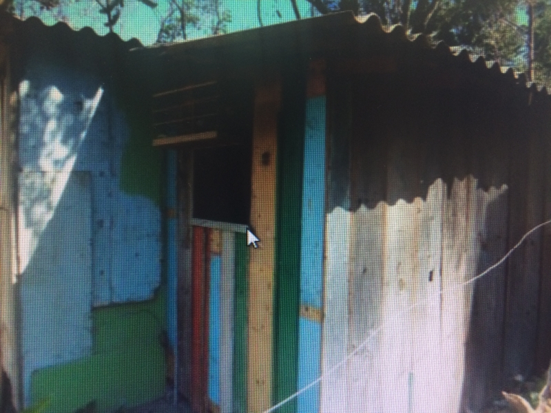 Infração Ambiental na Transcaieira