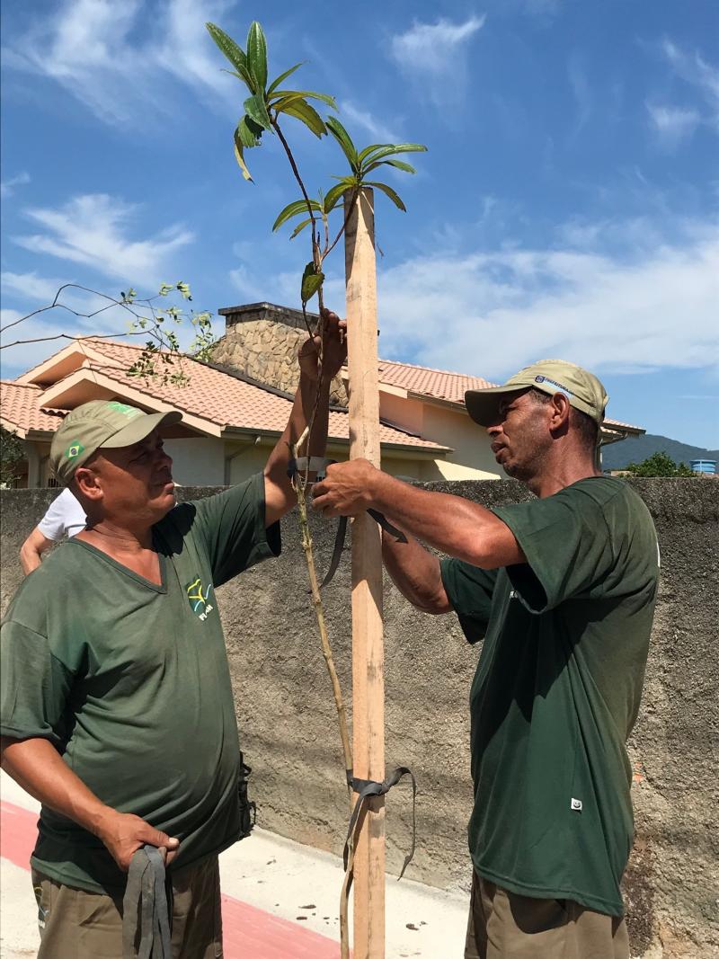 Floram inicia ação do projeto “50 Árvores Nativas de Floripa”