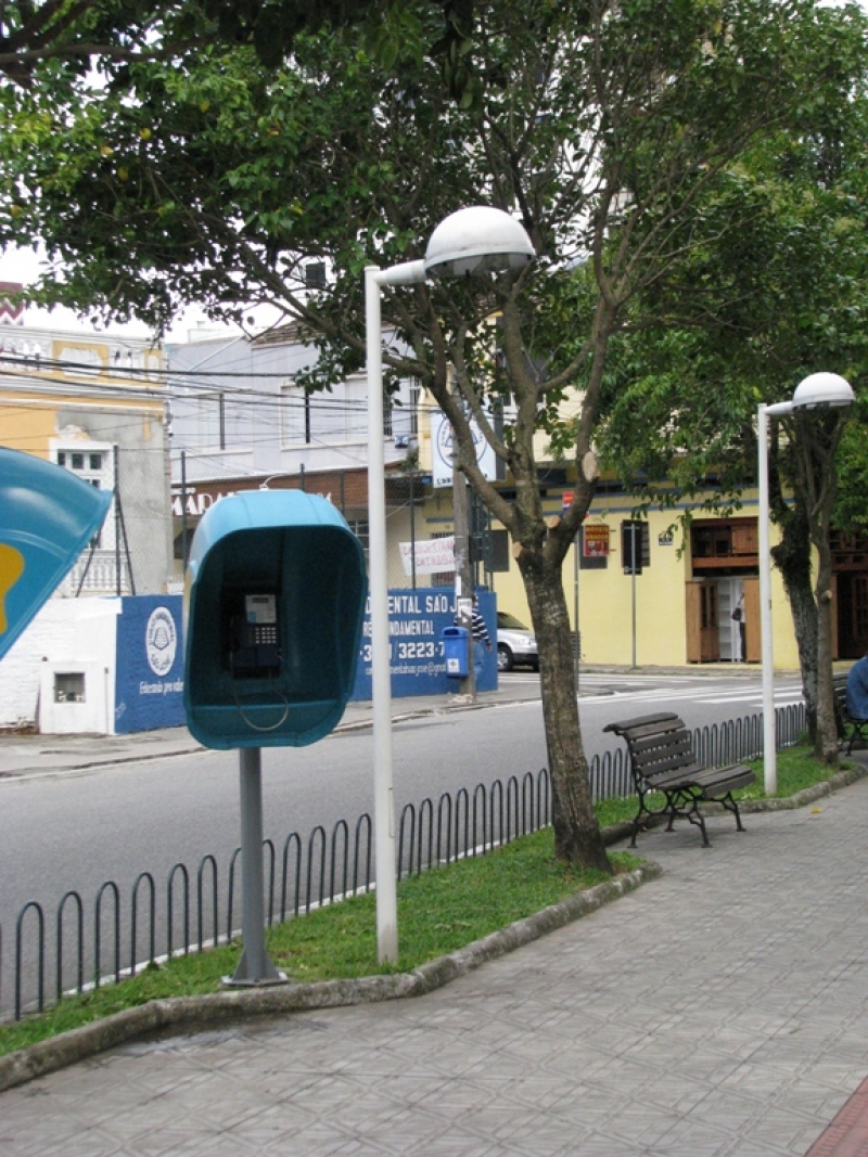 Árvores localizadas na Avenida Hercílio Luz recebem atenção especial