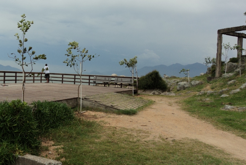 Floram revitaliza a Praça da Praia do Meio
