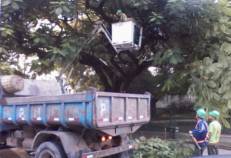 FLORAM  faz Poda Na Avenida Trompowsky.