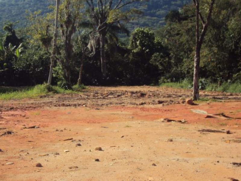Desmatamento irregular é flagrado no Rio Tavares