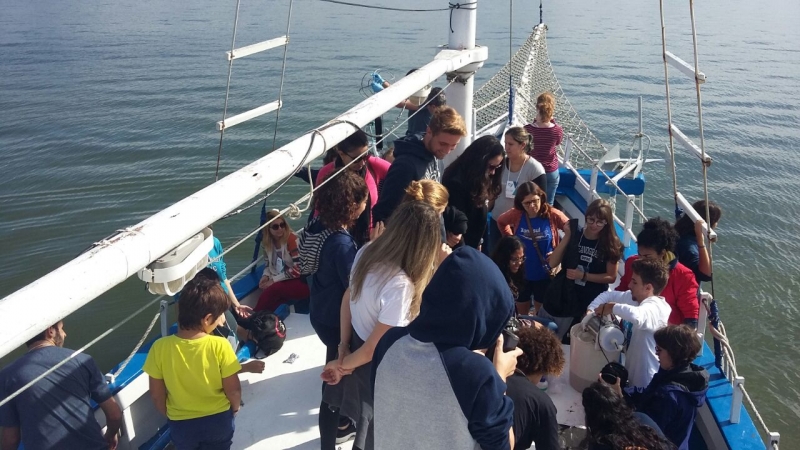 Escola do Mar e UFSC promovem ações para preservar animais marinhos