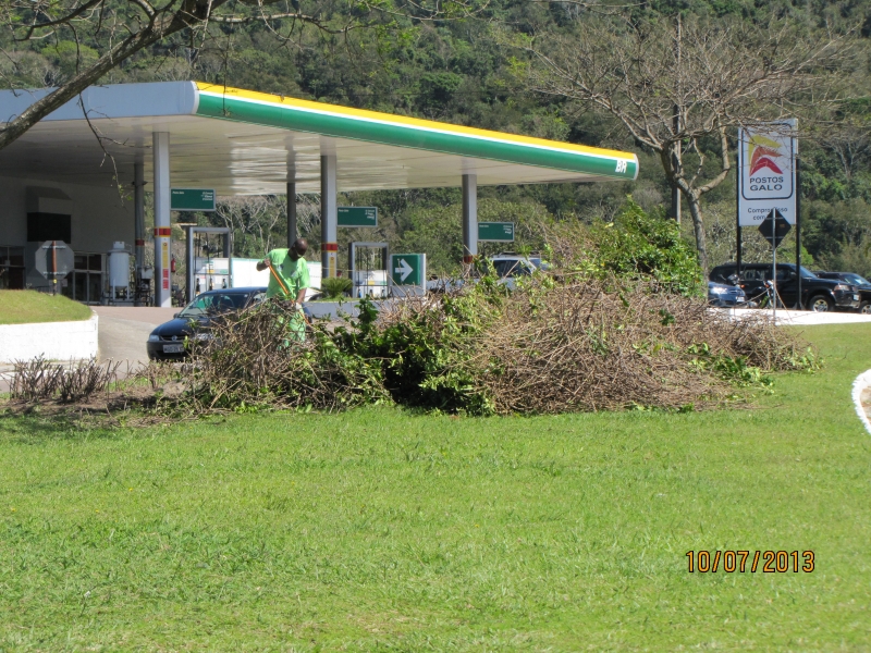 Arbustos na rótula da Lagoa passam por corte