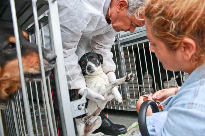 Bem-Estar Animal retoma calendário de castrações