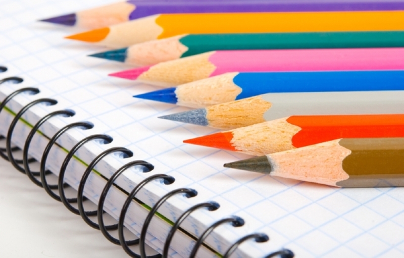 Preço do material escolar varia 307% 