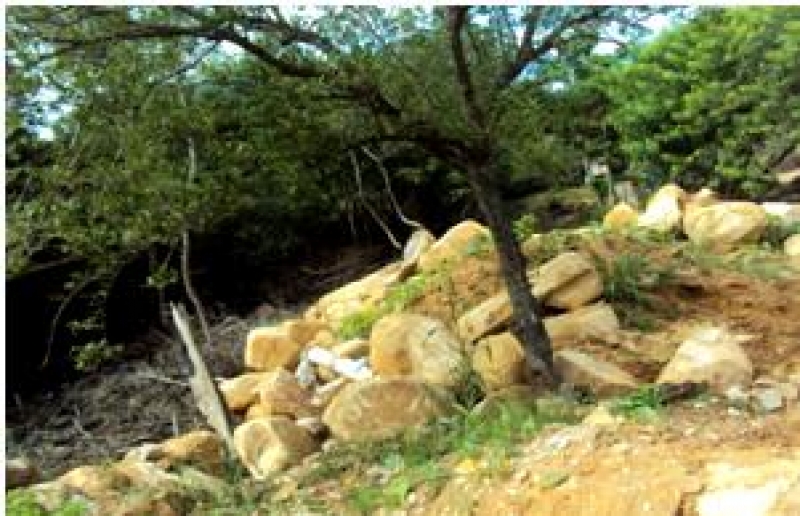 Retirado aterro e rochas depositados em manguezal 