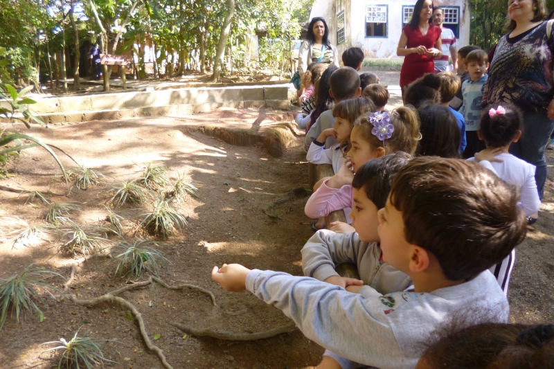 Crianças de São José visitam bosque no Continente