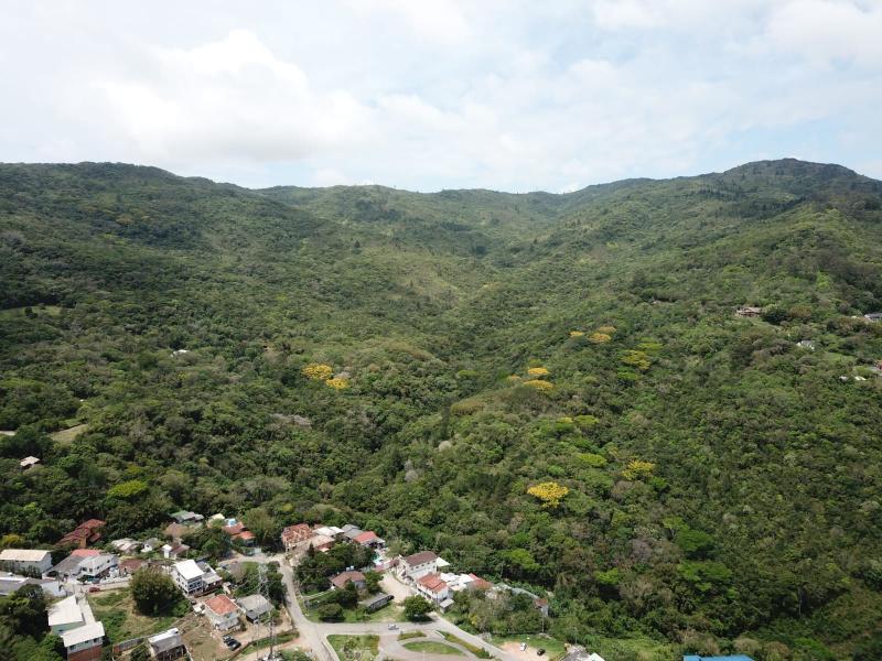 Conhecendo as Unidades de Conservação de Florianópolis: Parque Natural do Maciço da Costeira