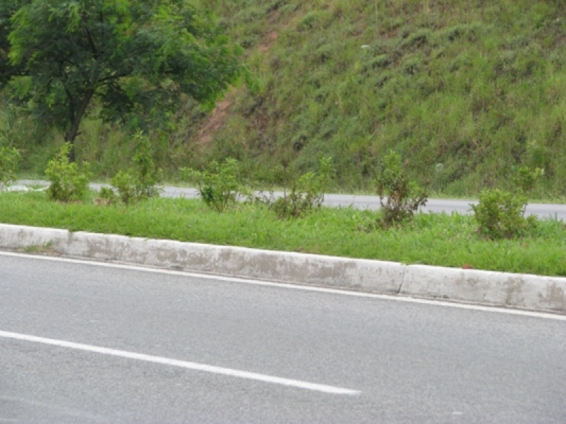 Acesso à Capital pela Via Expressa está mais florido