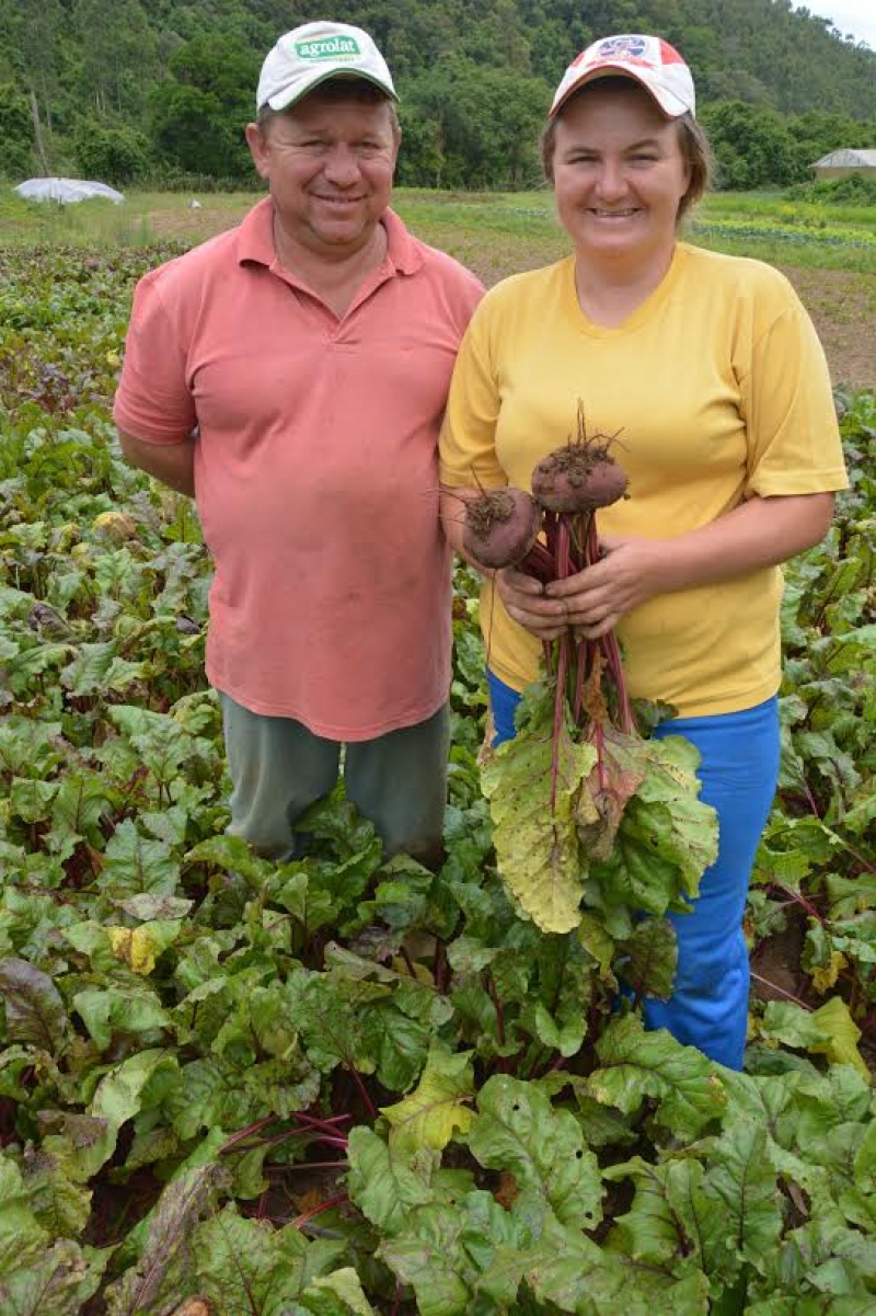Agricultura familiar na alimentação escolar