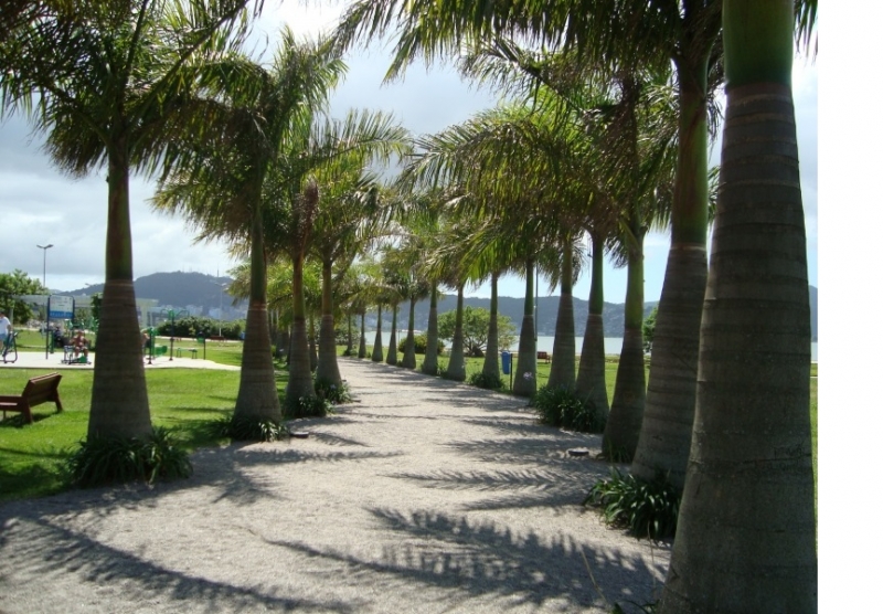Parque de Coqueiros caiu no gosto da população