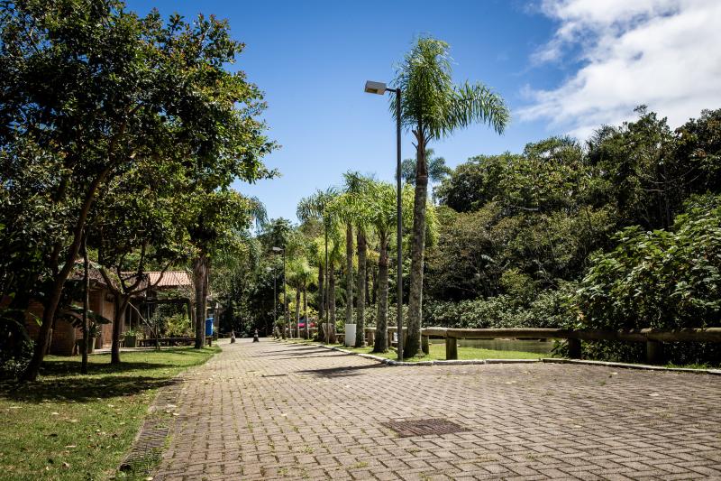 Parque Natural Municipal do Morro da Cruz celebra aniversário nesta segunda-feira, 8