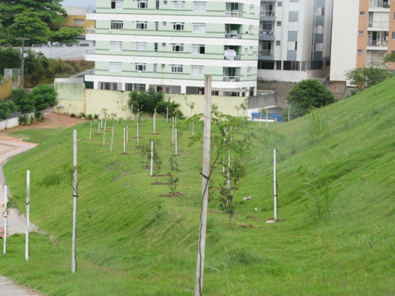 Floram realiza plantio de frutíferas nos bairros Canto e Carianos