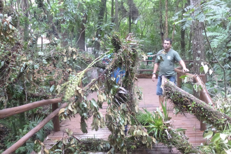 Bosque Pedro de Medeiros temporariamente fechado