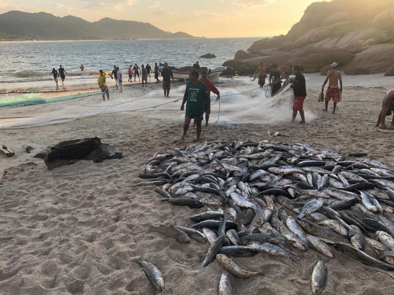 Safra da tainha 2020: regularização dos ranchos temporários