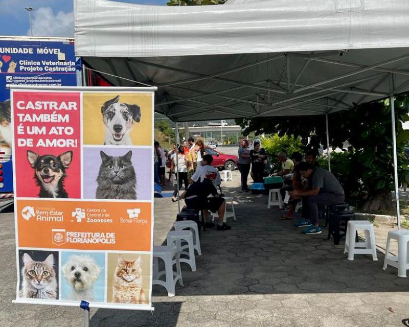 PMF realiza mutirão de castrações no bairro Ingleses nesta semana