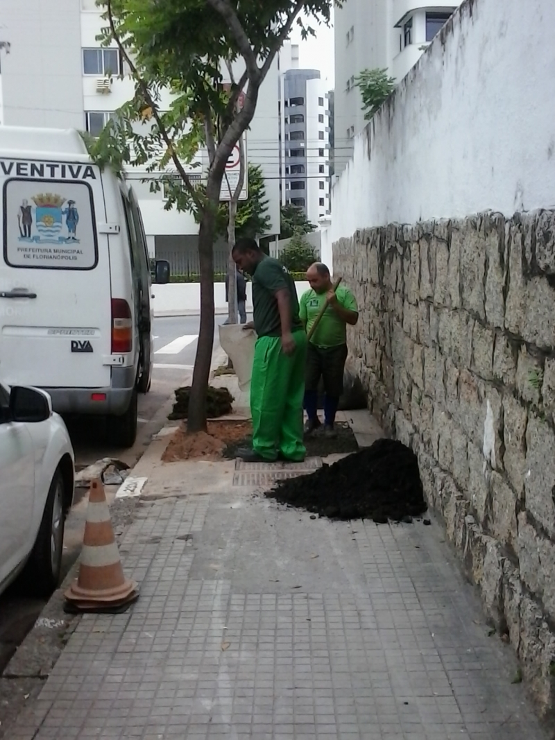 Floram executa poda de árvores na região central