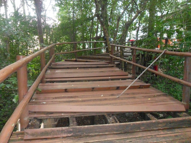 Começa a reforma no Bosque Pedro de Medeiros