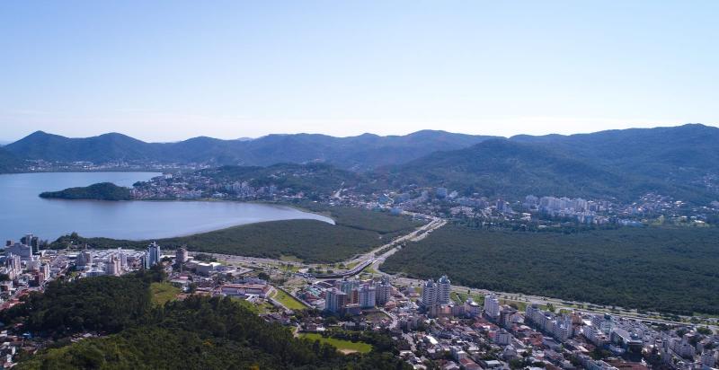 O berçário da vida marinha no coração cidade