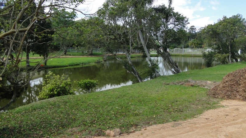 Comitê estuda segurança do Jardim Botânico