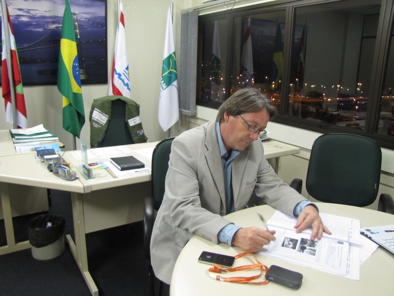 Chega a 80% os pedidos indeferidos de corte de árvores