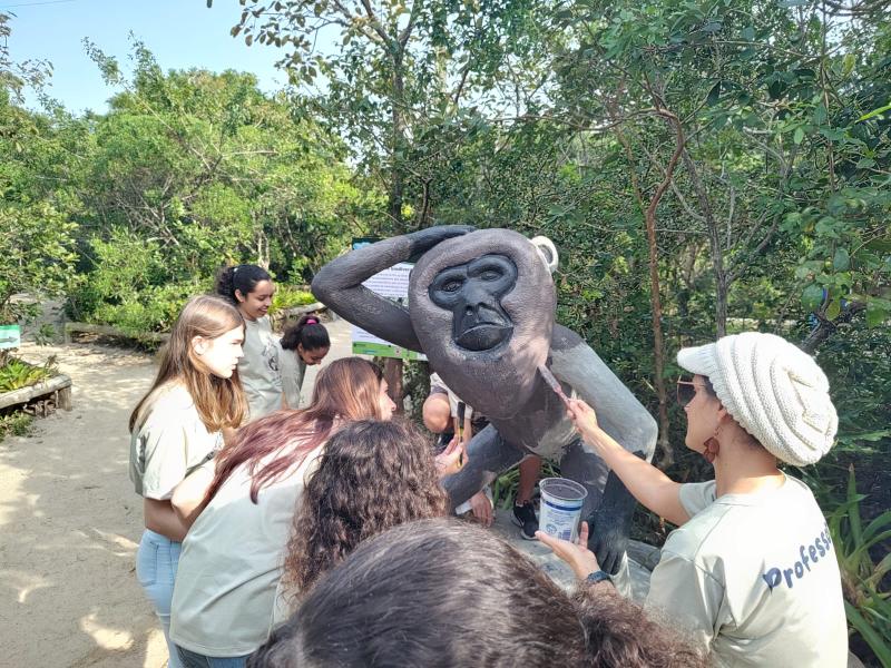 Clube de Geografia ajuda na preservação de animais e plantas no Sul da Ilha