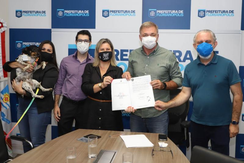 PMF vai custear tratamento de leishmaniose para cães de famílias carentes