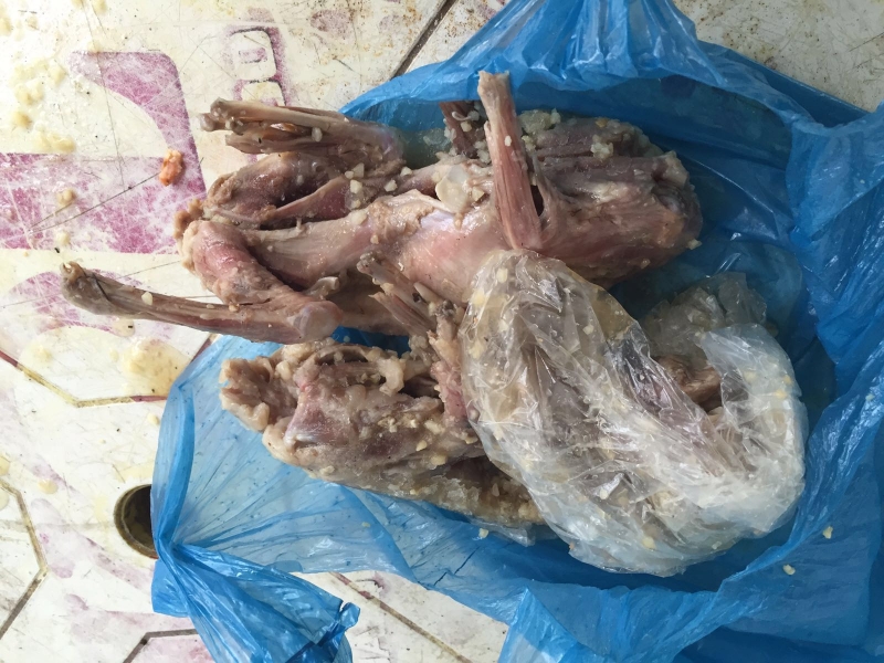 Restaurante fechado por guardar carne de gambá