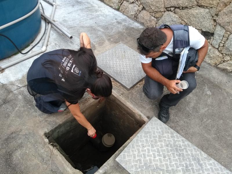 Florianópolis tem 4 casos autóctones de dengue