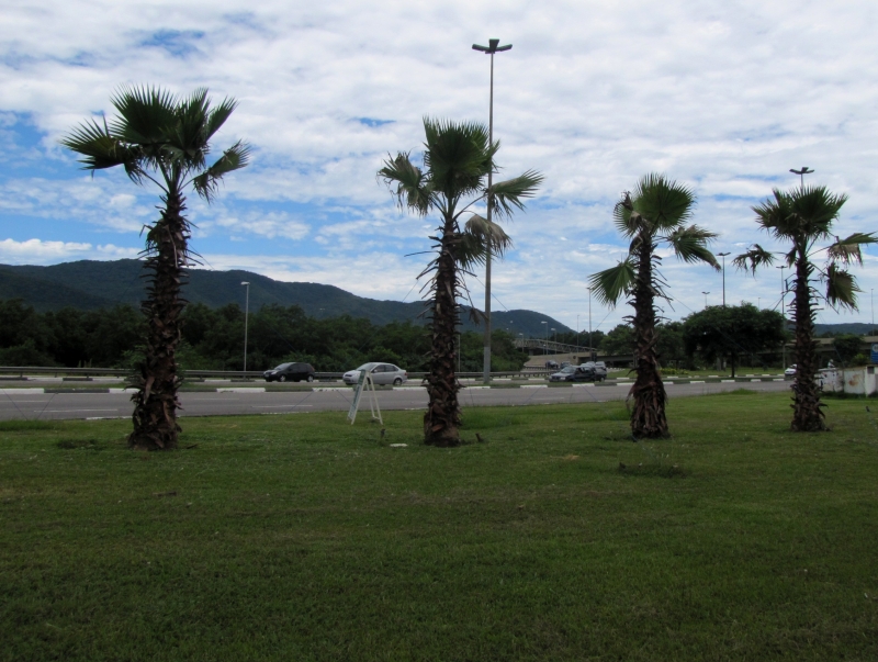 A política urbana deve buscar o equilíbrio ambiental 