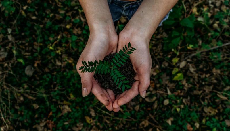 Semana de Conscientização do Meio Ambiente 2020 chega ao fim