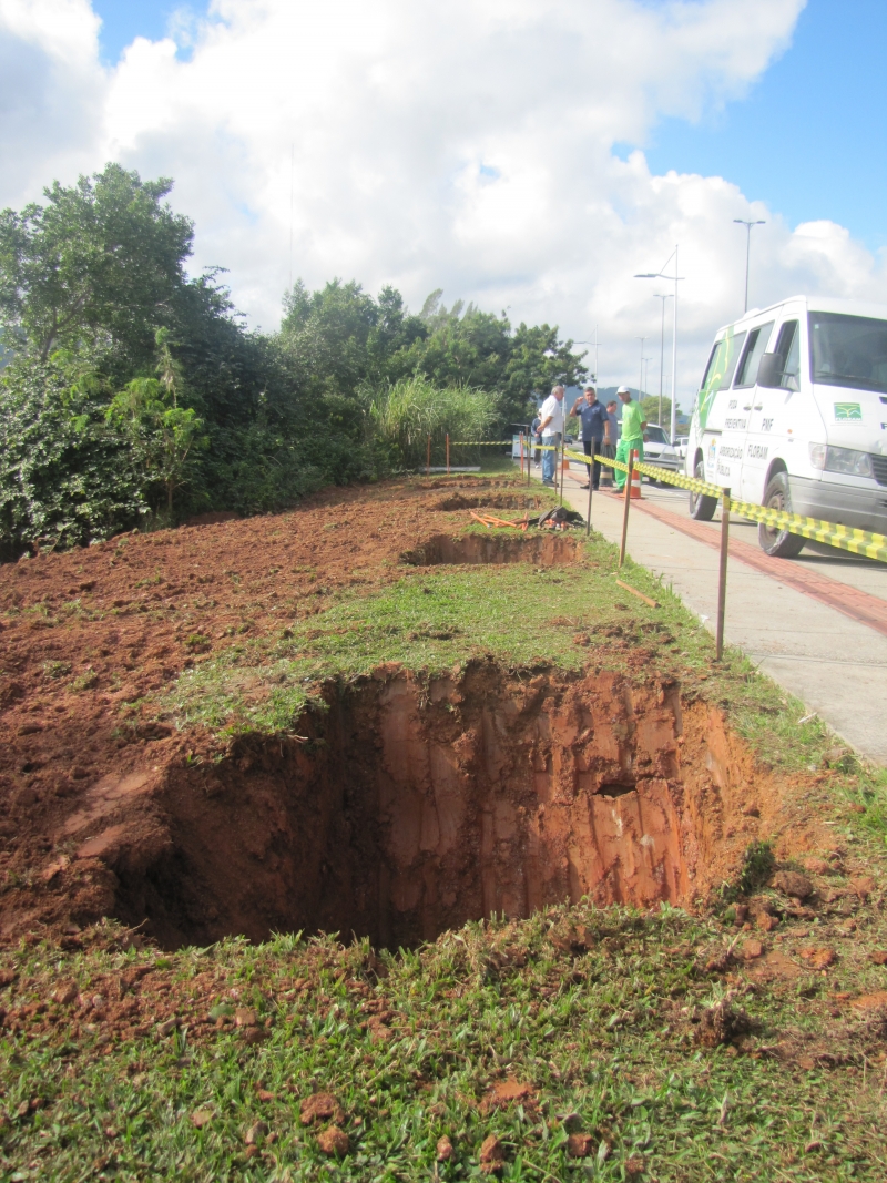 Floram planta palmeiras e jerivás na Beira-mar Norte