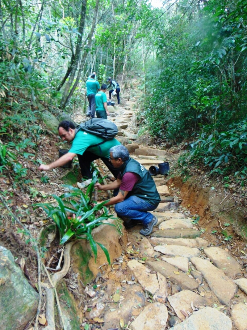 Lagoinha do Leste: trilha quase pronta 