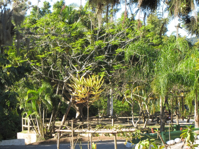 Inscrição aberta para projetos de conservação da natureza
