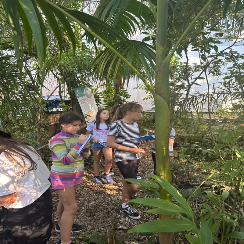 Bosque da Capivara Encantada se transforma em sala de aula