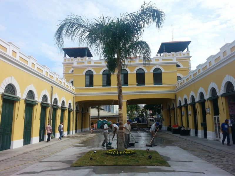 Floram retira jerivá do vão do Mercado