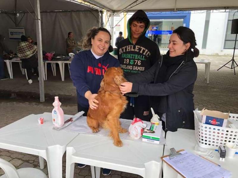 Cães das pessoas em situação de rua de Florianópolis terão atendimento veterinário 