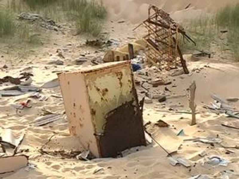 Trabalho conjunto limpa área de preservação