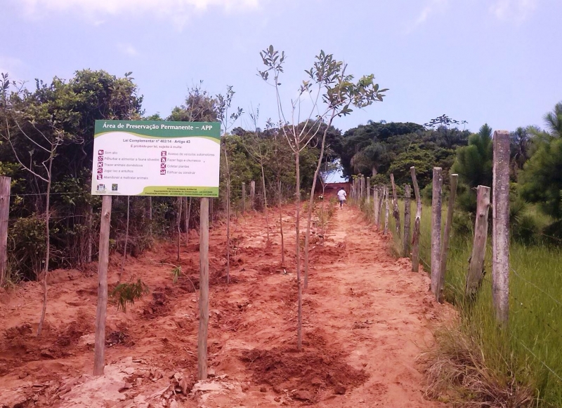 Floram busca recuperar área desmatada
