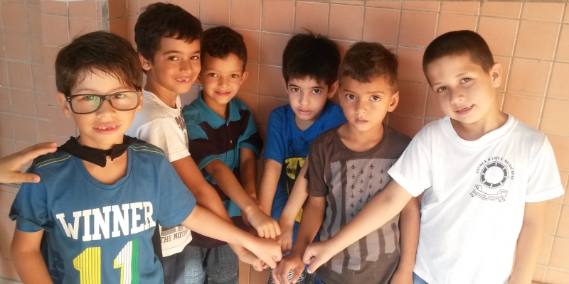 Educação lança campanha 'A Rede Contra o Mosquito'