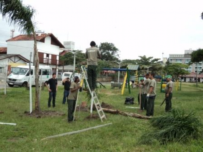 Equipe de Arborização atende pedido de moradores de Canasvieiras
