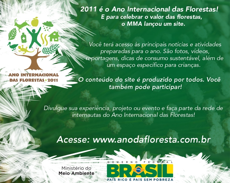 2011 é o Ano Internacional das Florestas