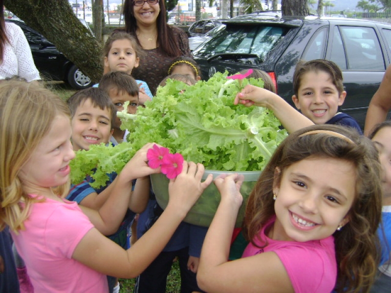 Educando com a horta beneficia 6 mil crianças
