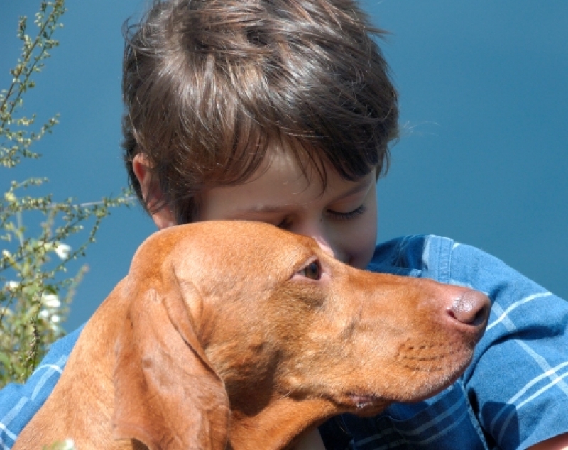 Cão Terapia: sábado é dia de visitar os amigos