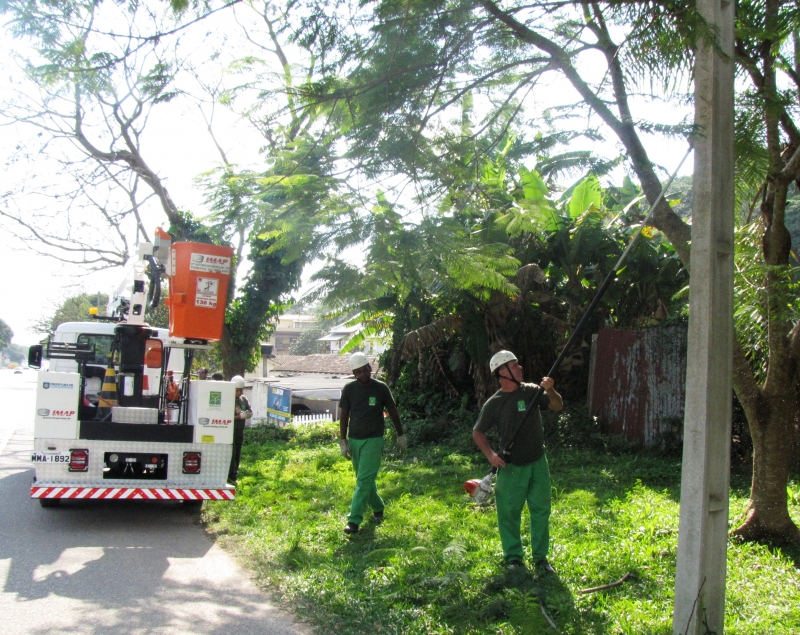 Floram executa poda de árvores à margem da SC-402