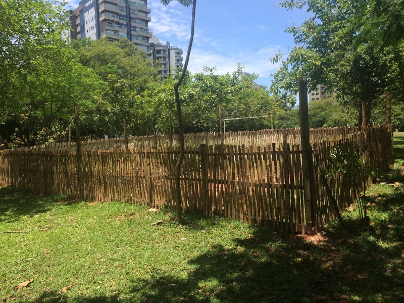Parque da Luz terá horta comunitária