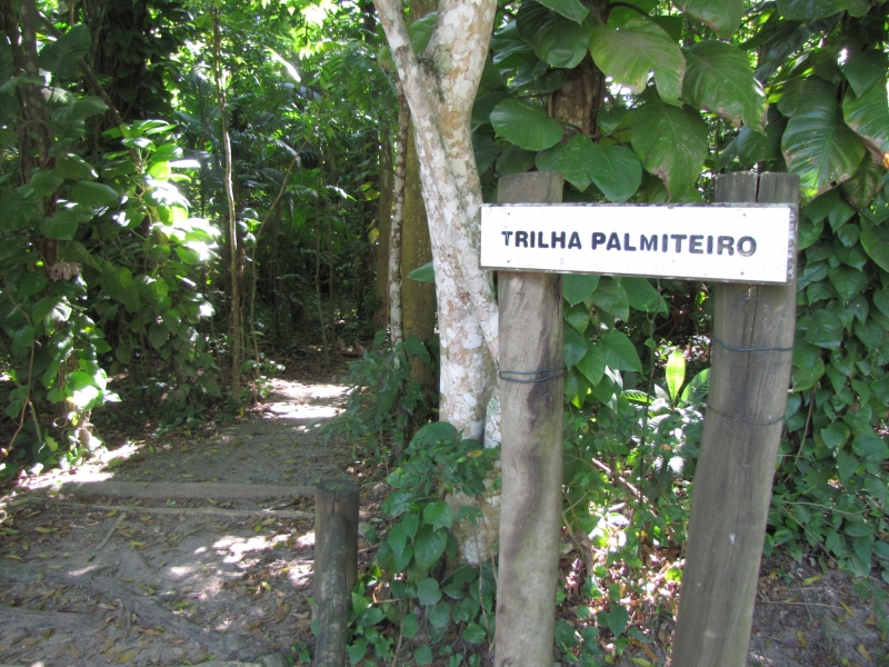 Colégio de Santo Amaro da Imperatriz visita o Parque Ecológico