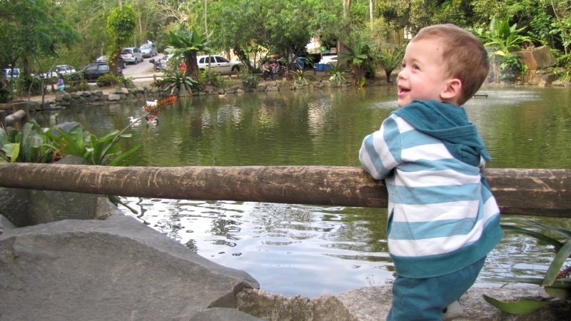 Dia das Crianças no Parque Ecológico do Córrego Grande